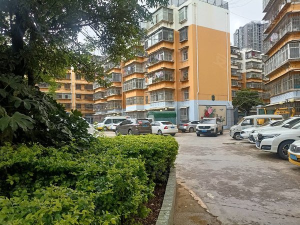 昆明官渡金马寺片区东骏苑小区拎包入住二环双地铁东骏苑干净清爽采阳