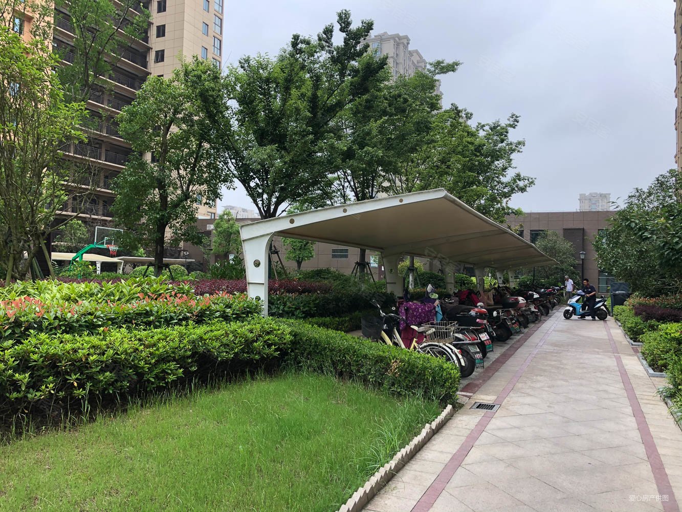 佳源都市二期前排电梯九层四开间朝阳出门菜市场