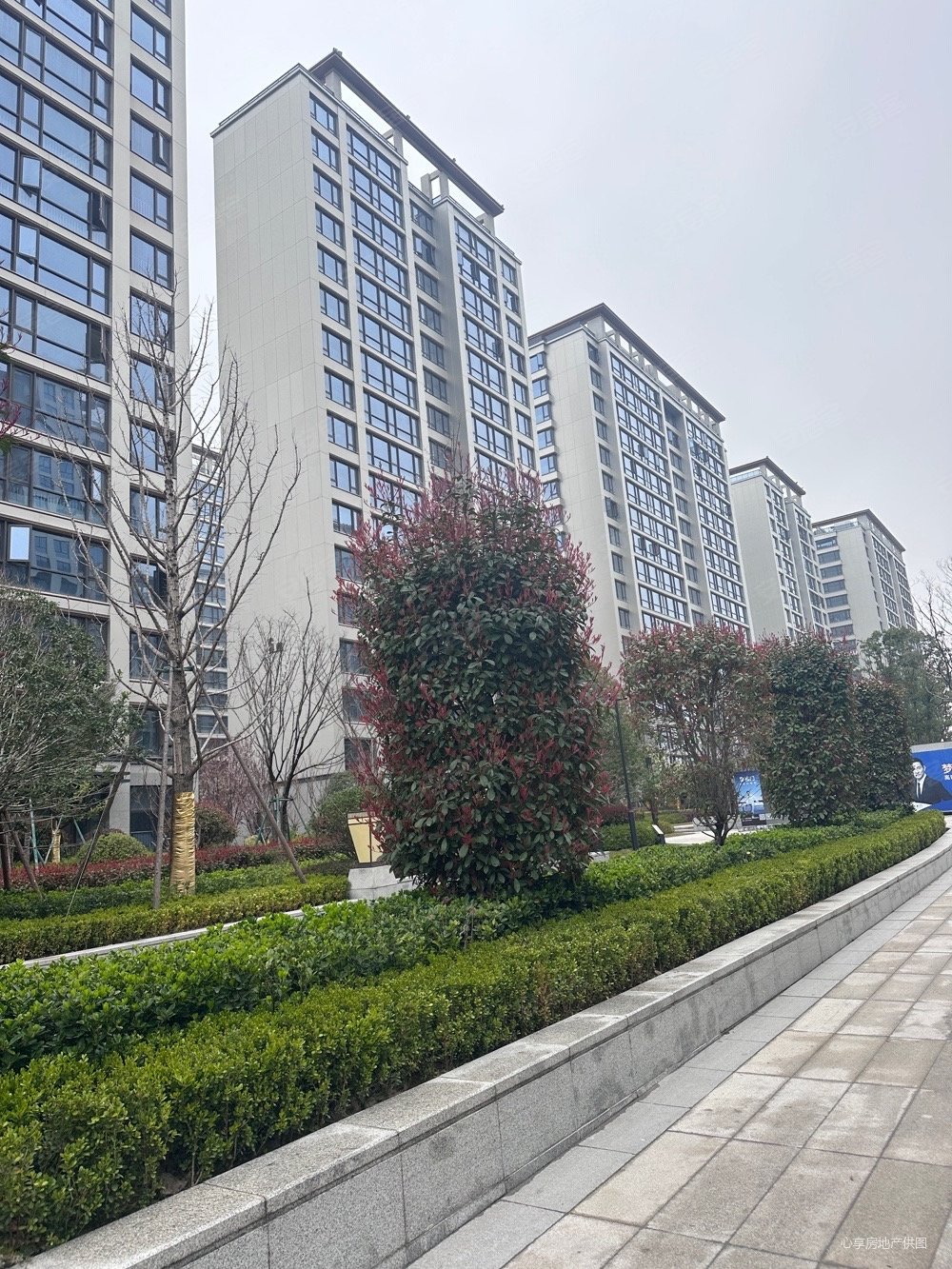 龙港新城,国鸿锦悦府,高端住宅,好楼层,价格可议,房东急卖,国鸿锦悦府