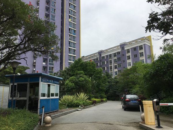 泉州洛江万安街道东辰大厦便宜电梯公寓 出租 配齐 温馨舒适 干净