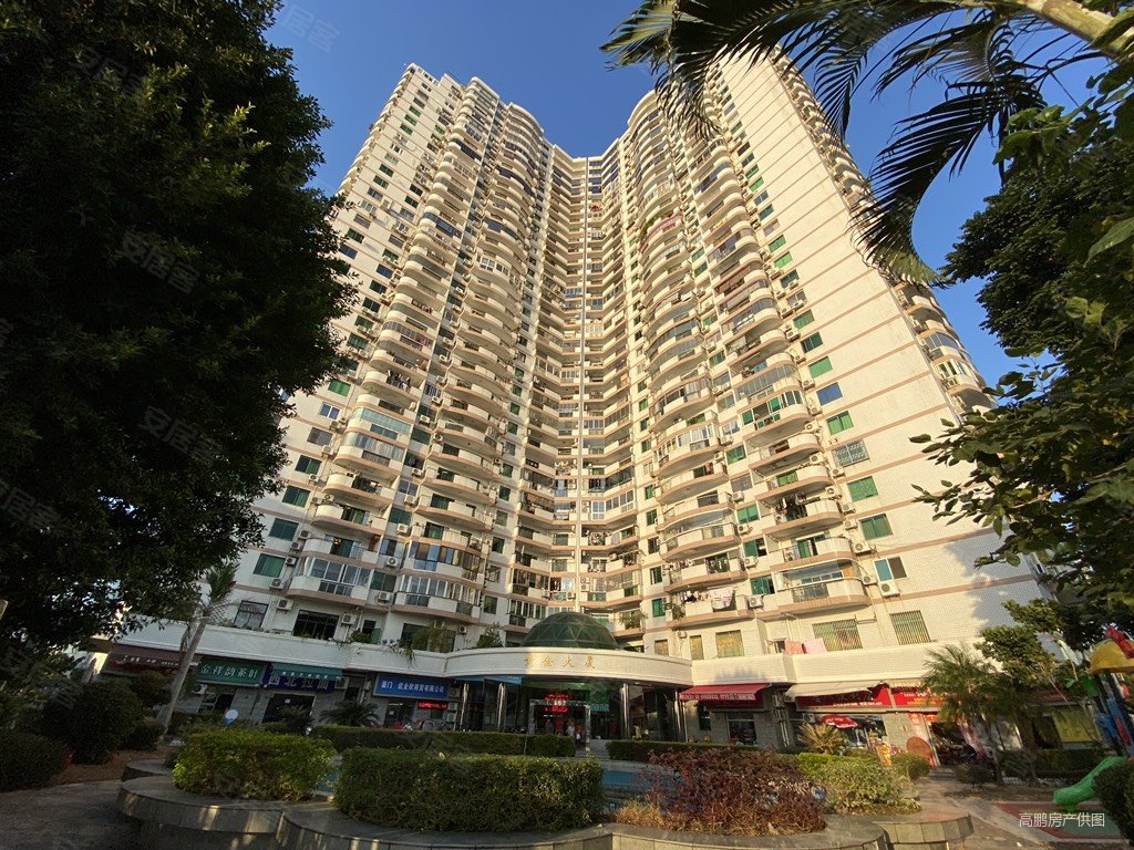 黄金大厦3室2厅2卫155㎡东北809万