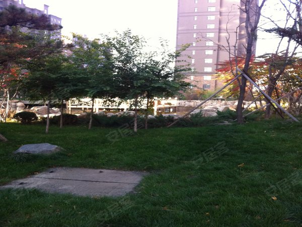 【多图】汉森金烁广场,万通租房,亚泰新动力旁 地铁2号线 汉森金烁93