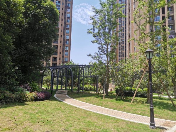 重庆涪陵涪陵宝龙广场绿地海域澜屿绿都澜屿 精装电梯大2室 租金1400