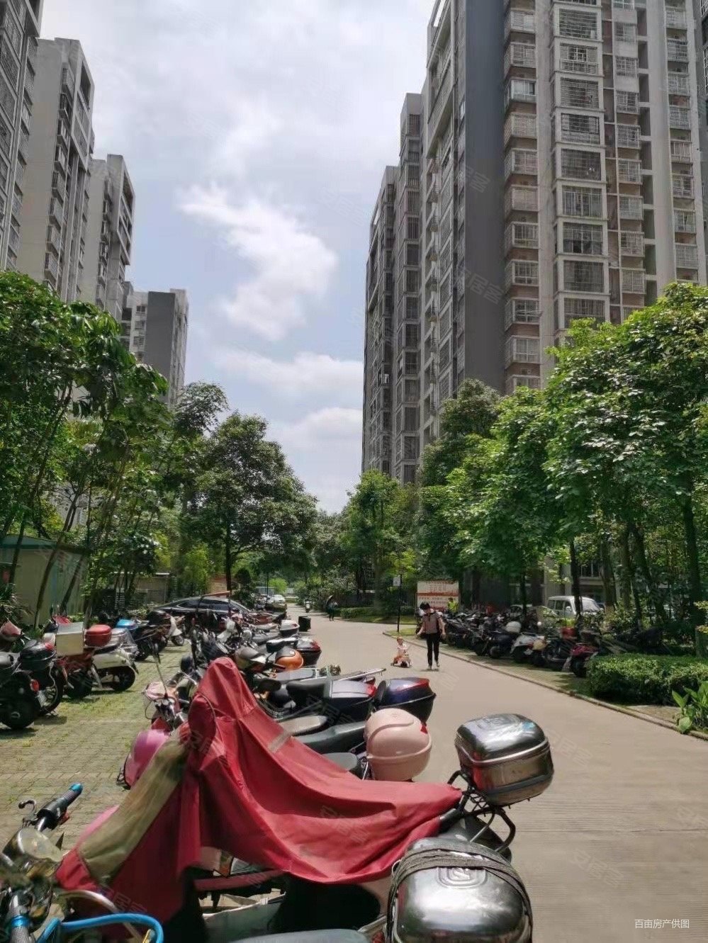 华柳佳苑3室2厅2卫101.8㎡南80万