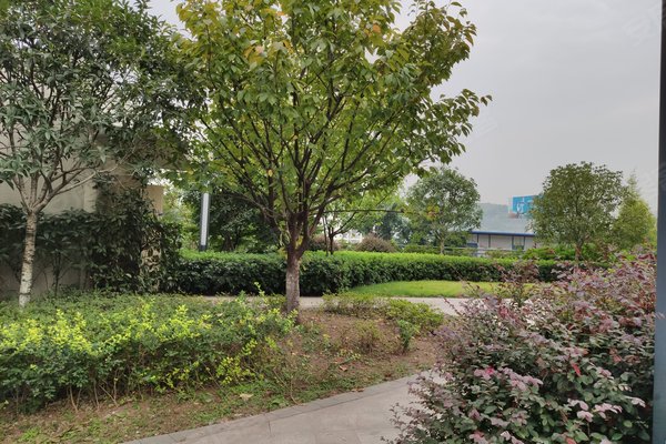 重庆小区 江北小区 南桥寺小区 名门山庄(别墅)