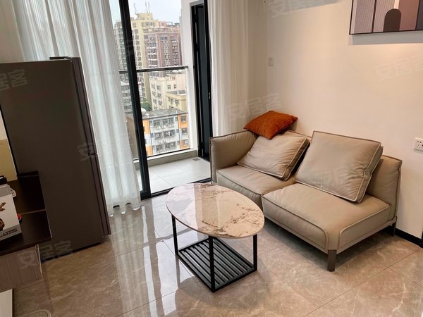 深圳龙华大浪华丽雅苑(已验真)大浪八九区周边 一房一厅 精装修 拎包