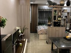 恩施利川腾龙大道景江一品精装修一室一厅一卫一厨家具家电齐全拎包入住出租房源真实图片