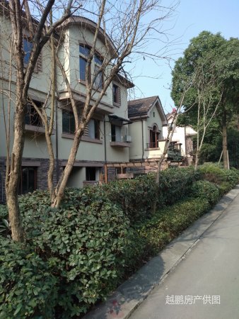 巴国城旁 晋愉碧怡林畔 独栋别墅住家清静 环境优美 端头户型