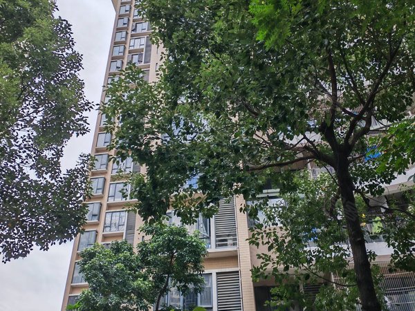 深圳光明公明楼村花园(二期)光明楼村梦之花园,精装修,超大四房二厅二