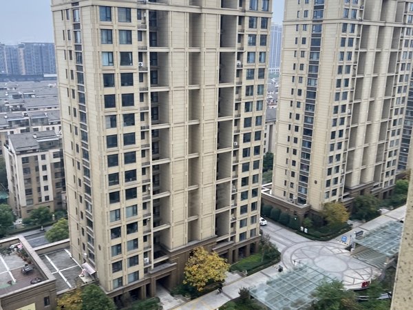 杭州钱塘大江东江东府大江东 义蓬 江东府 4室 4房 一样大 看房方便