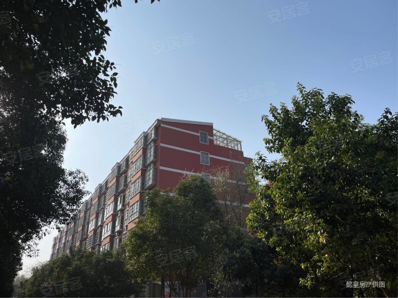 急售 金盾小区 精装婚房 观景三室 出价可谈 拎包入住