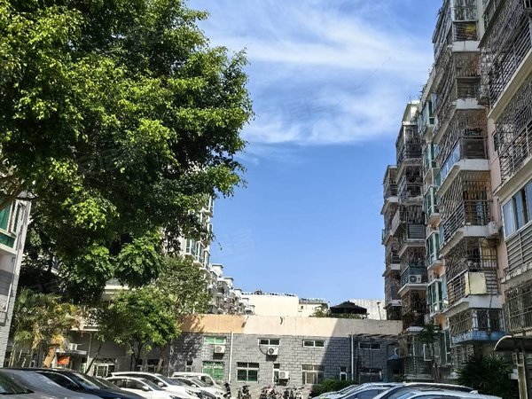 【多图】锦城星苑,龙岗中心城租房,龙岗新生 锦城星苑7房2厅3卫 办公