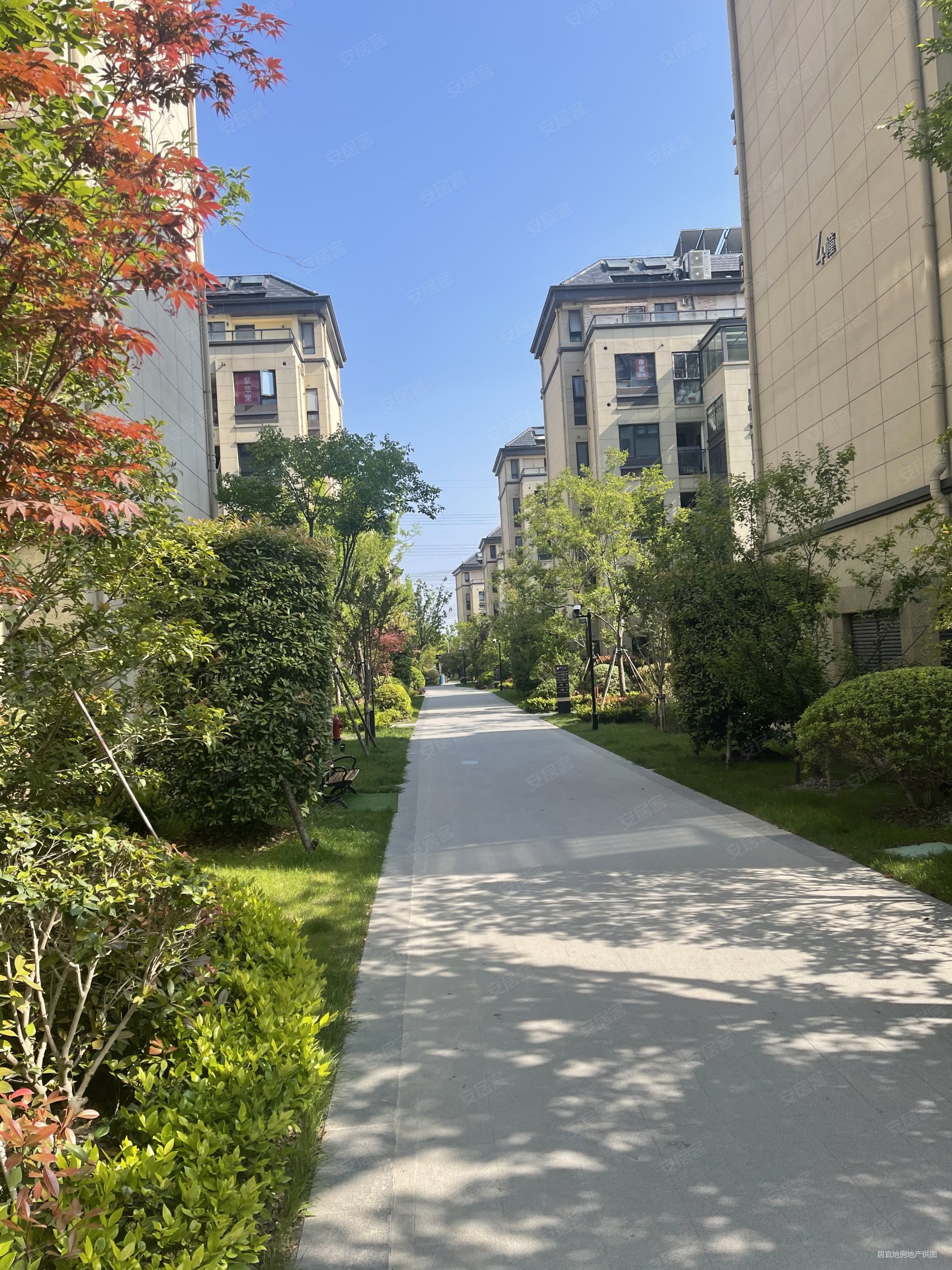 上外双语金瑞国际中建阅澜山南北通透业主急售