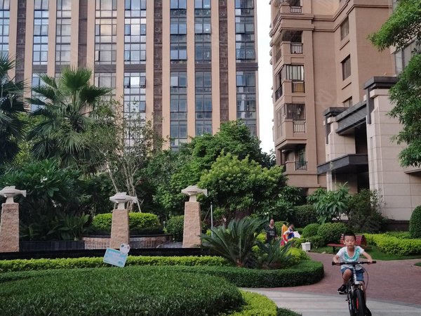 【多图】中骏四季阳光(商住楼),浮桥租房,新天旁边 中骏四季阳光精