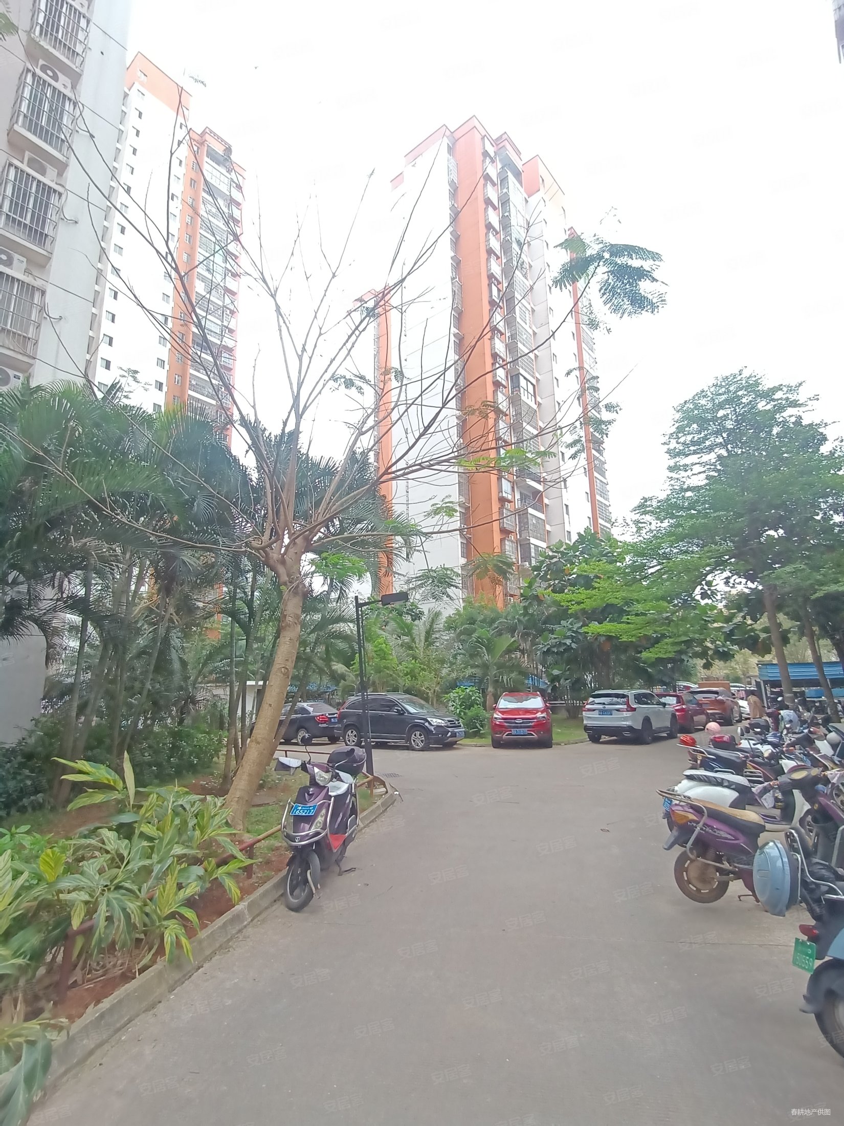 水滨花园1房1厅高楼层采光充足精装好房交通便捷