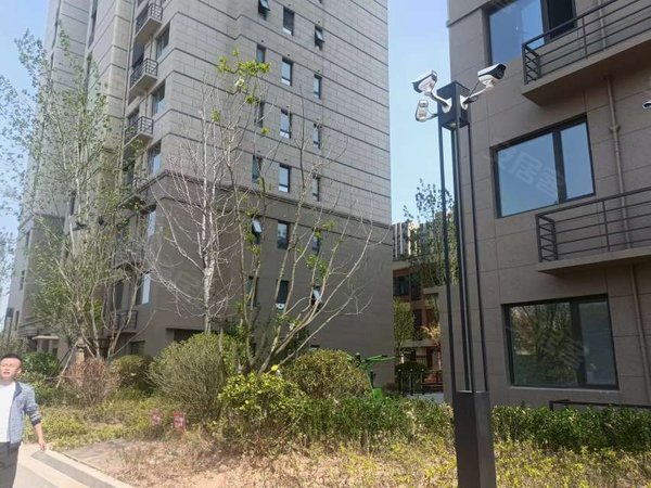 青岛黄岛隐珠中建锦绣城八期雅园锦绣城雅园 地铁口幸福茂 茶马古道