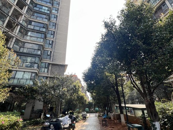 【多图】锦泰花园,新迎片区租房,瑞鼎城地铁口旁 精装2房 带家具家电