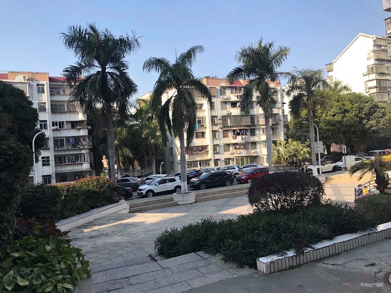 厦门房产网>厦门二手房>思明二手房>莲前西路二手房>金鸡亭花园小区>