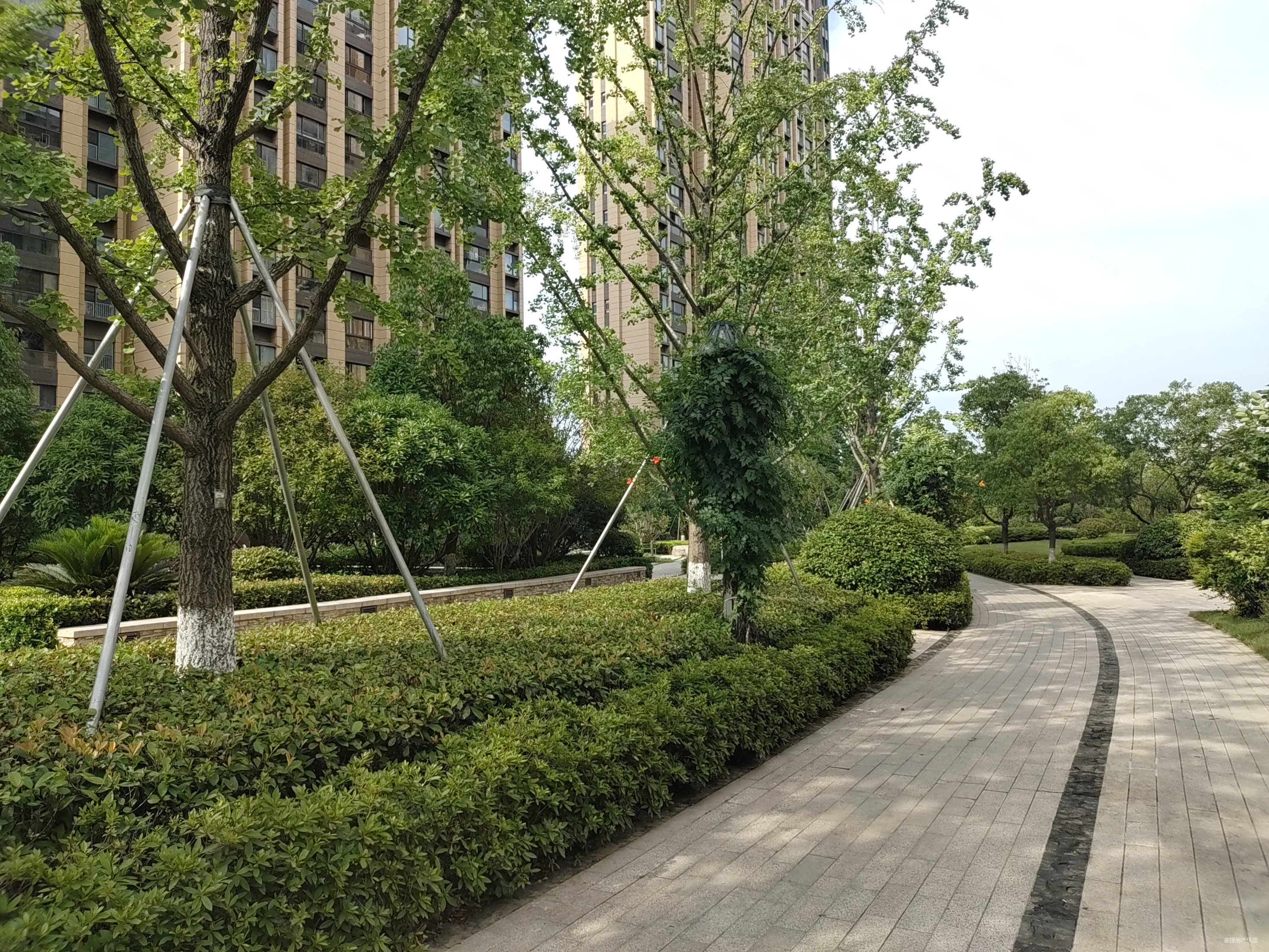 月亮湾3号美颂花园贰期