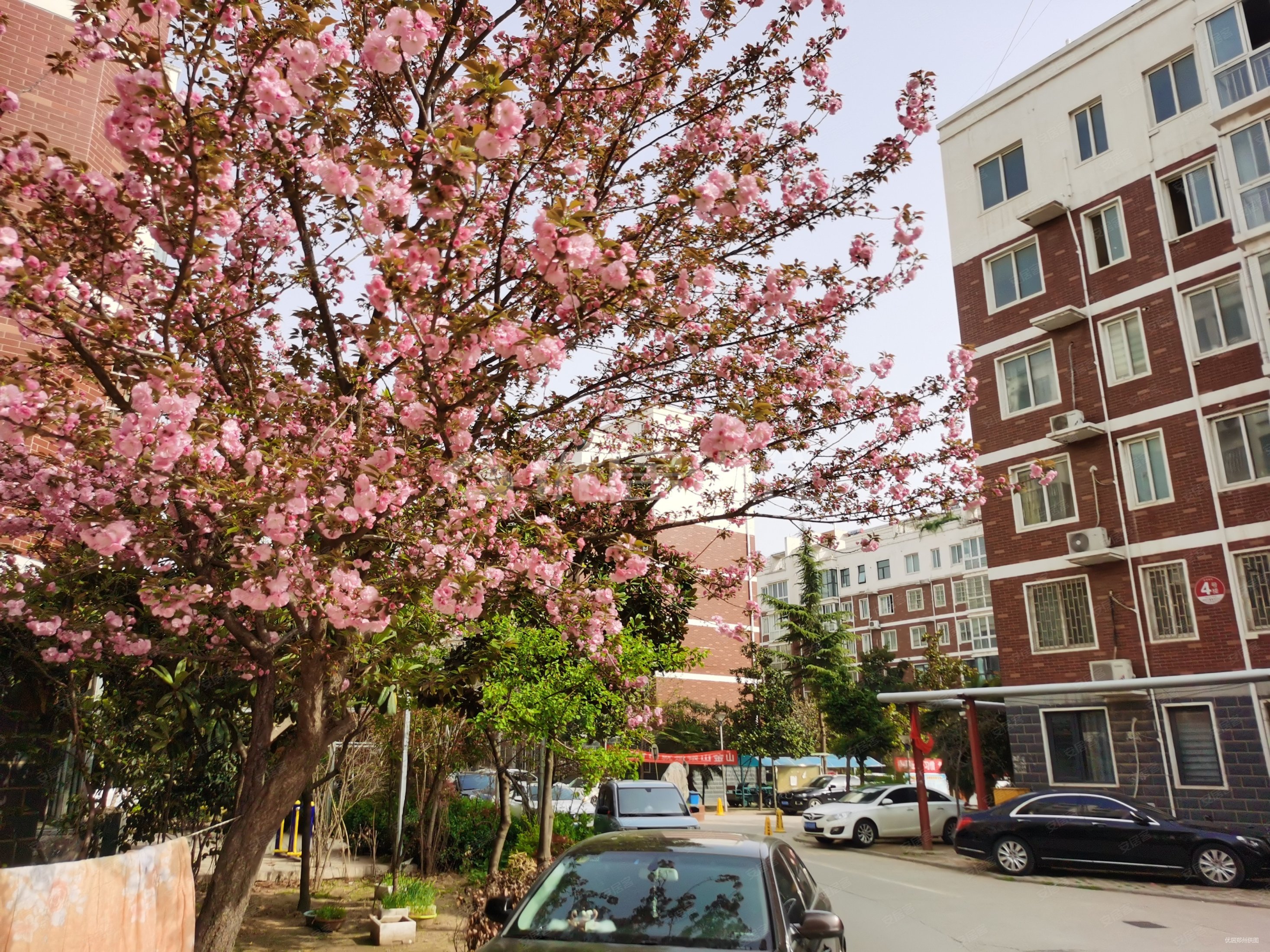 蓝爵世家4室2厅2卫 130万