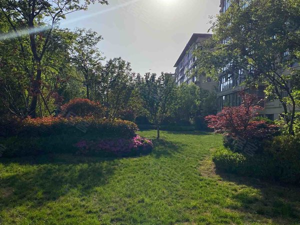 青岛即墨环秀海信九贤府(即墨)海信九贤府(即墨) 3室2厅1卫 精装未住