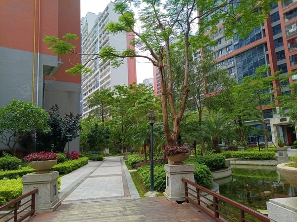 泉州晋江桥南片区新加坡城新加坡城 3室2厅1卫 90平 电梯房出租房源