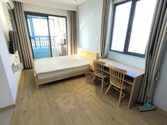 合肥新站陶冲湖我是物业 可短租 可月付 新站广场 京东方 维信诺民用水电出租房源真实图片