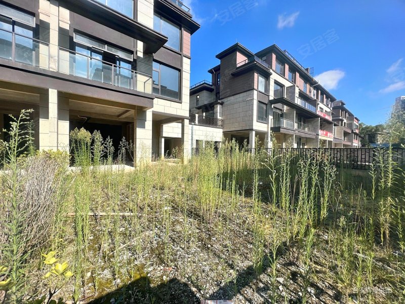 中铁阅山湖d组团别墅