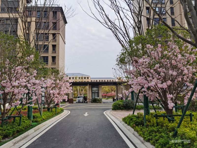 急售 保利玲珑公馆精装三房 电梯好楼层 配套成熟 随时看房