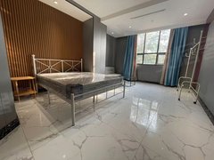 阳江江城新达城免中介费新达城附近精装房出租出租房源真实图片