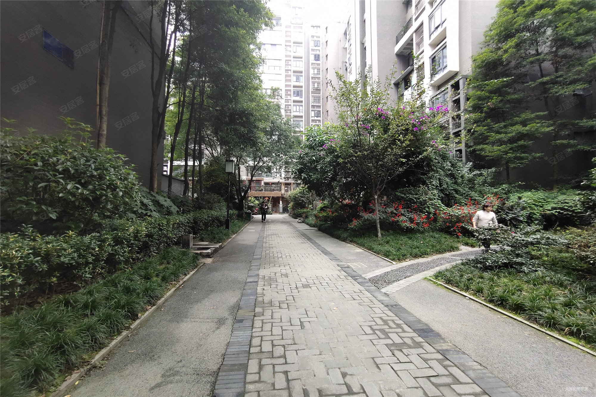 成都国奥村3室2厅2卫125.0225.0万元