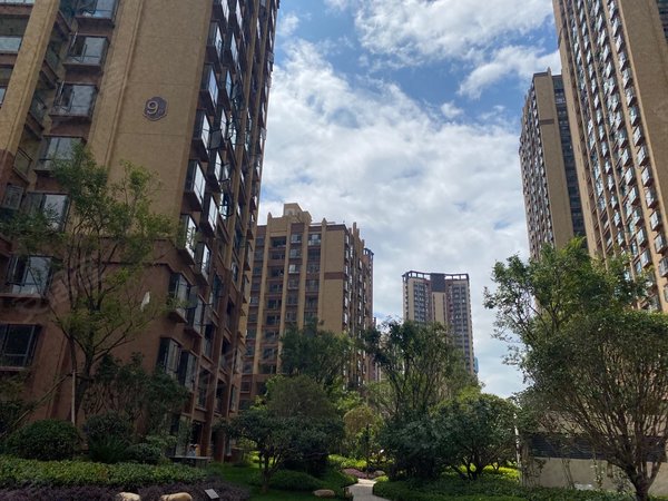 昆明西山前卫营润城八区润城八区 1室1厅1卫 50平 电梯房 精装修出租