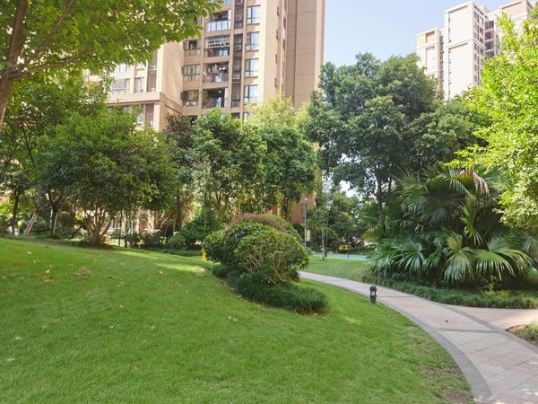 重庆巴南龙洲湾佳兆业广场(一期)佳兆业广场精装两房,装修清爽,拎包