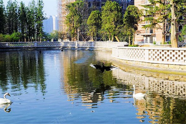 青岛小区 黄岛小区 长江路小区 湛园海德公园 湛园海德公园怎么样