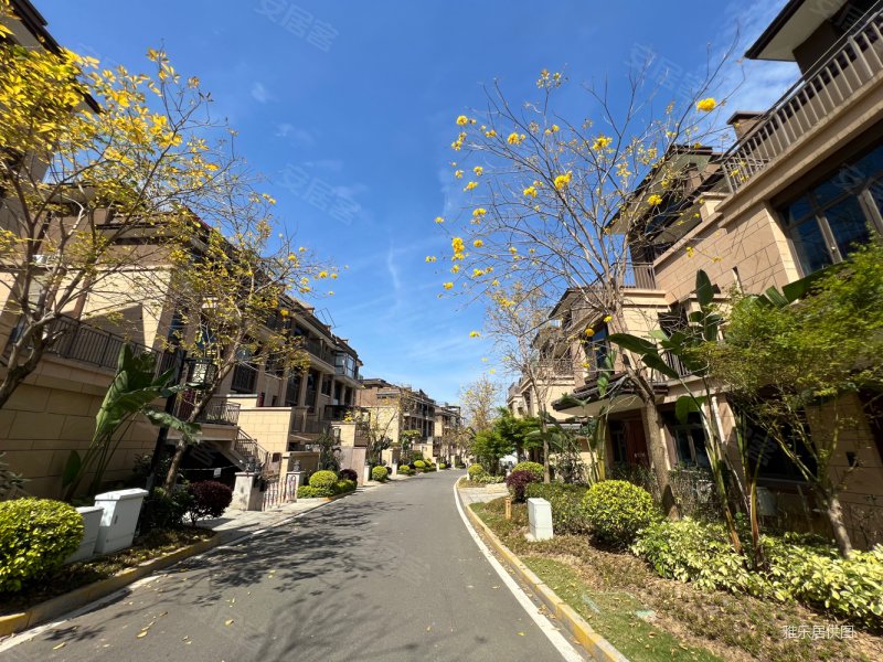 双拼别墅南入户花园130平米毛坯急售,碧桂园高尔夫庄园二手房,350万,4