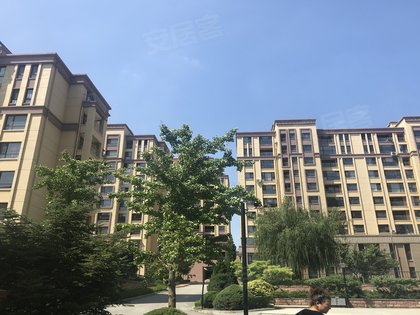 大连小区 金州小区 金州周边小区 龙祥嘉园 龙祥嘉园怎么样