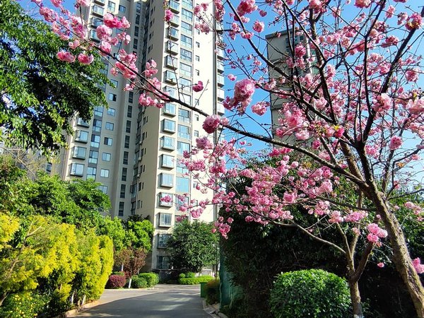 【多图】西府景苑,马街租房,三号地铁站口(眠山站)2室精装急租,西山