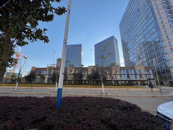 昆明呈贡老县城绿地东海岸35号地块(商住楼)斗南花市上班族闺蜜复式