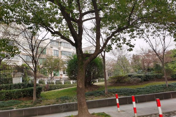 上海二手房 万景园 > 陈家全解读万景园小区不足