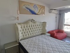 衢州柯城南区香榭丽舍公寓便宜出租啦！付一押一！世纪美林乐业景观衢时代新青出租房源真实图片