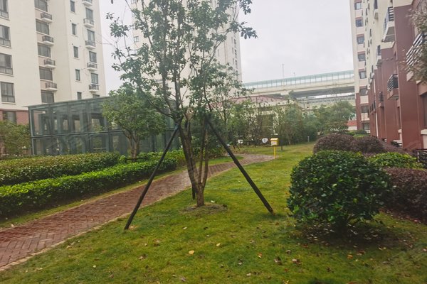 墨翠里怎么样,好不好_中介房产经纪人:李学强对墨翠里的评价-上海安居