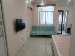 武汉黄陂盘龙城天纵城(商住楼) 1室1厅1卫  电梯房 精装修46平米出租房源真实图片