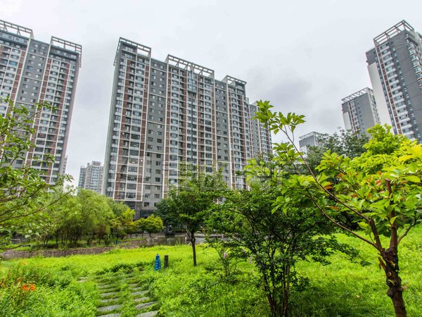 头次出租 国风上观三居室南北通透 装修好 随时起租,朝阳租房-北京58