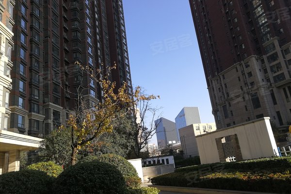 和昌湾景国际(一期),汝河路156号-郑州和昌湾景国际(一期)二手房,租房