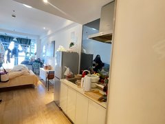 张家港塘市塘市中心新城吾悦广场(张家港) 1室1厅1卫  电梯房 精装修出租房源真实图片