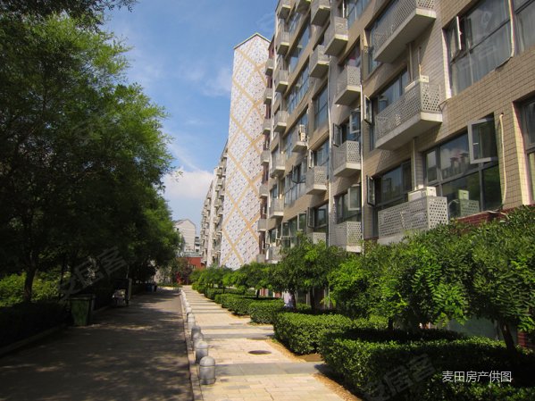 2010年商品房 赠30平露台 地铁桥湾站 前后花园 6个月