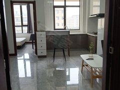 盘锦兴隆台步行街管物业电梯 利港三期 1室1厅1卫 精装修 电梯房 58平出租房源真实图片