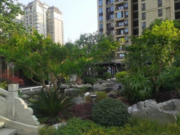 石狮建发泱著精装电梯四房 拎包入住德辉广场出租房源真实图片