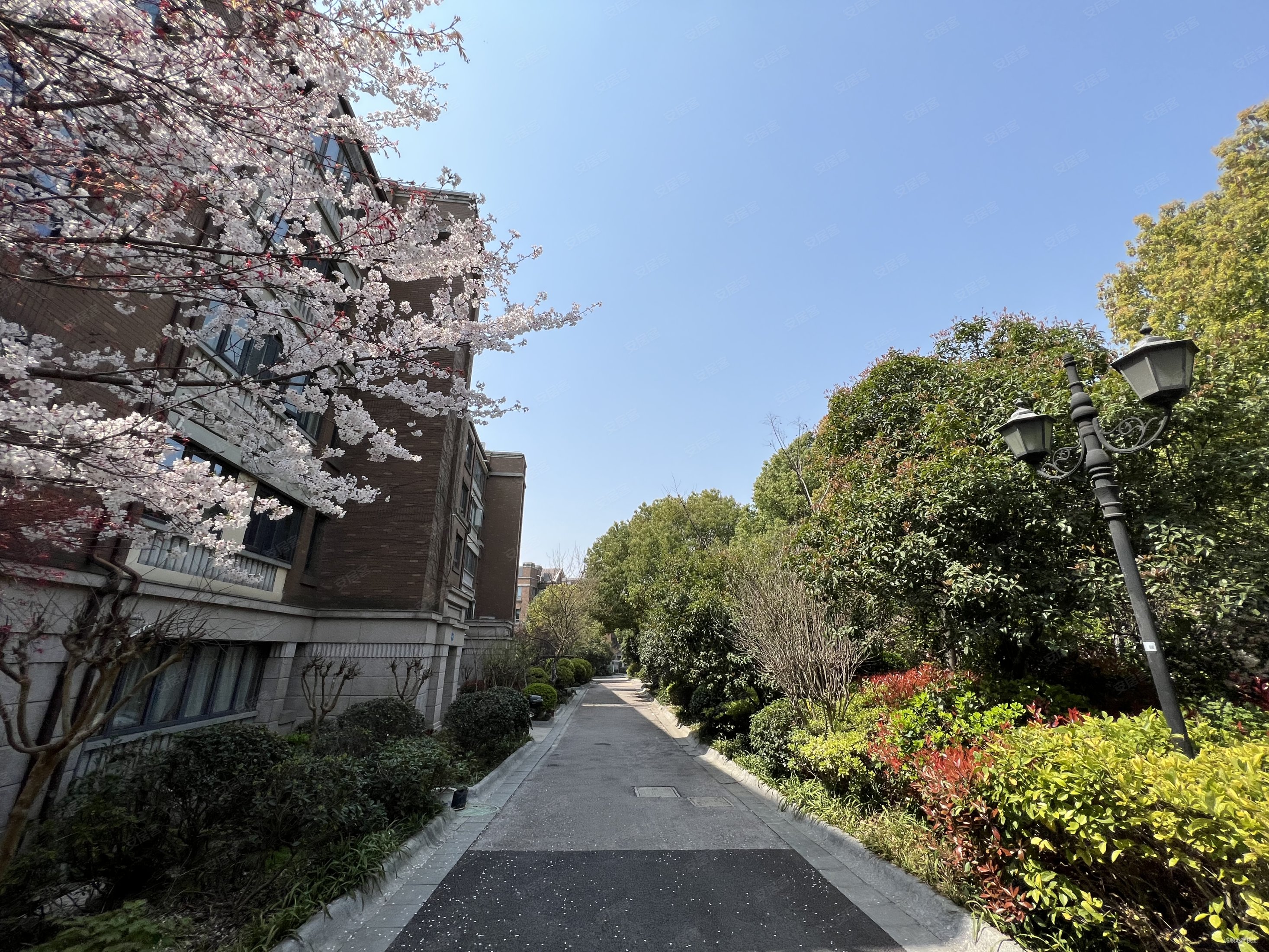 孝陵卫地铁钟鼎山庄花园洋房南理工龙湖环境好全明