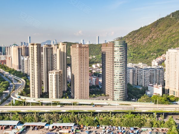 深圳南山前海丽湾商务公寓丽湾新出正规大两房看房随时拎包入住价格可